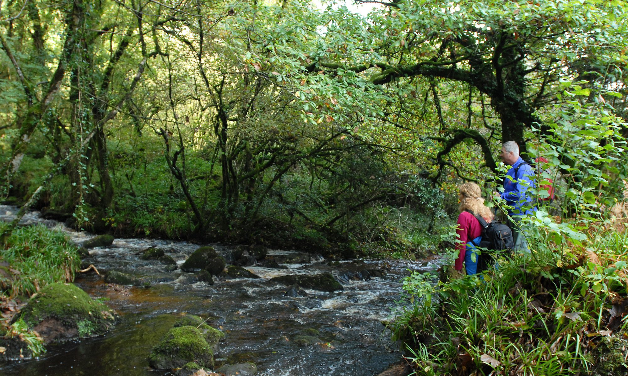 Clare Walks Ltd